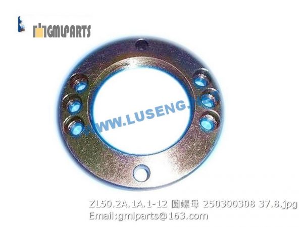 ,250300308 ZL50.2A.1A.1-12 ROUND NUT XCMG