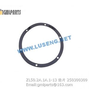 ,250300309 ZL50.2A.1A.1-13 WASHER XCMG