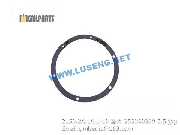 ,250300309 ZL50.2A.1A.1-13 WASHER XCMG