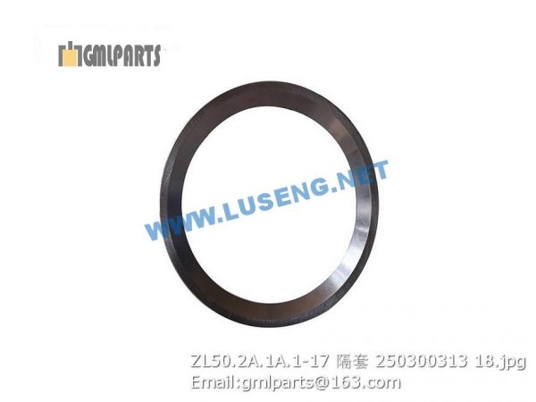 ,250300313 ZL50.2A.1A.1-17 SLEEVE XCMG