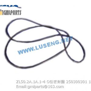 ,250300301 ZL50.2A.1A.1-4 O-RING