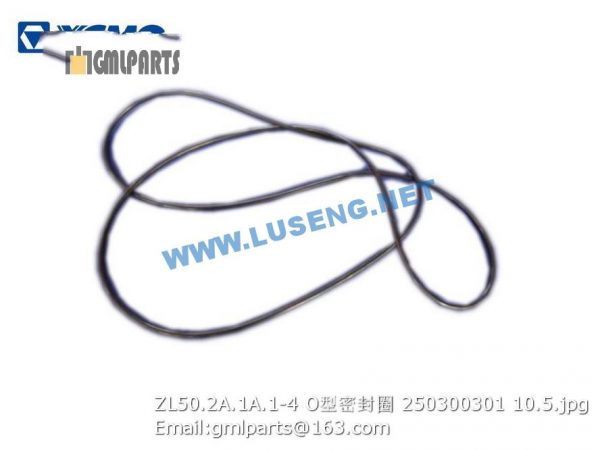 ,250300301 ZL50.2A.1A.1-4 O-RING