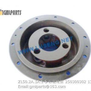 ,250300302 ZL50.2A.1A.1-5 PLANET CARRIER XCMG