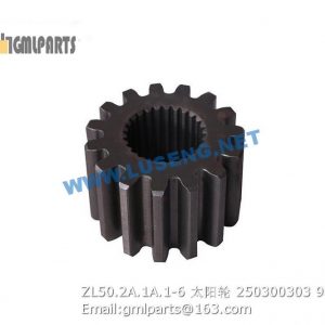 ,250300303 ZL50.2A.1A.1-6 SUN GEAR XCMG