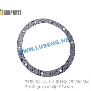 ,250300304 ZL50.2A.1A.1-8 XCMG SEAL GASKET