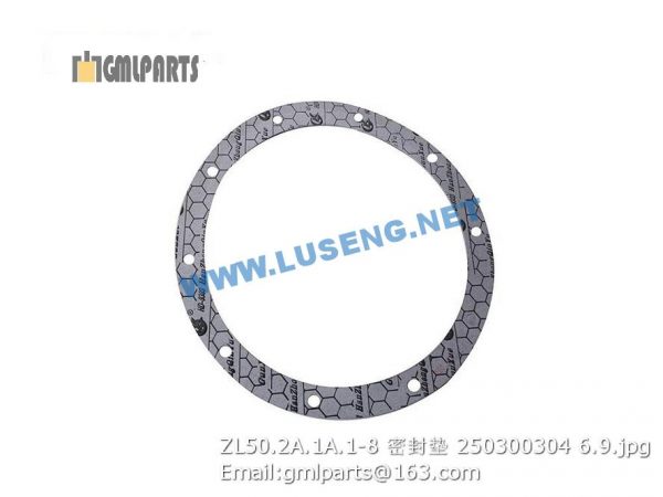 ,250300304 ZL50.2A.1A.1-8 XCMG SEAL GASKET