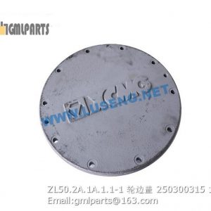 ,250300315 ZL50.2A.1A.1.1-1 end cover