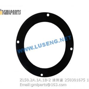 ,250301675 ZL50.2A.1A.1B-2 OIL SEAL COVER