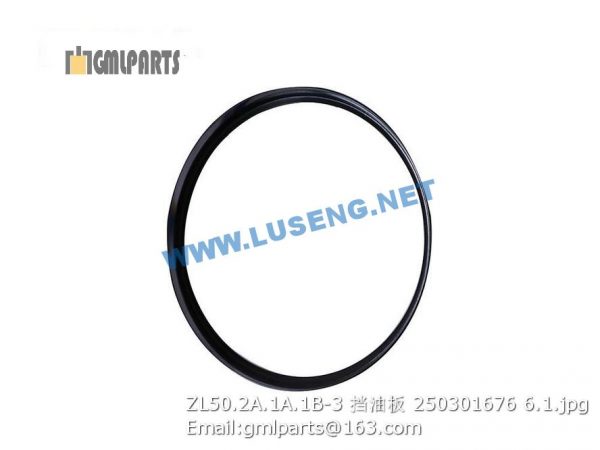,250301676 ZL50.2A.1A.1B-3 Plate