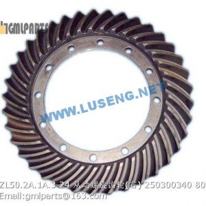 ,250300340 ZL50.2A.1A.3-24 GEAR XCMG