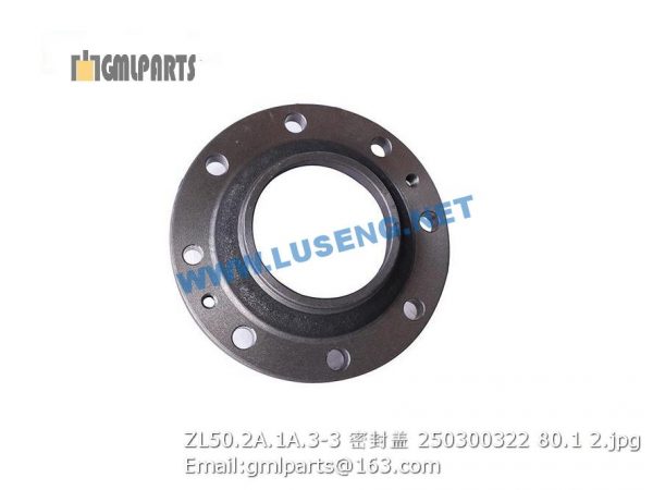 250300322 ZL50.2A.1A.3-3 COVER XCMG - Image 2