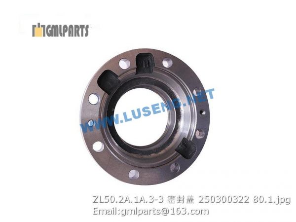 ,250300322 ZL50.2A.1A.3-3 COVER XCMG
