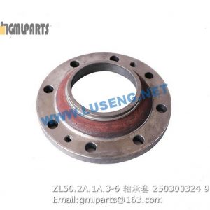 ,250300324 ZL50.2A.1A.3-6 BEARING SLEEVE XCMG