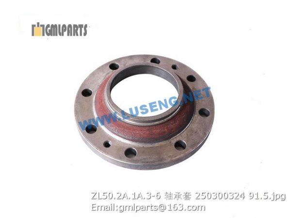 ,250300324 ZL50.2A.1A.3-6 BEARING SLEEVE XCMG