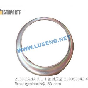 ,250300342 ZL50.2A.1A.3.1-1 OIL SEAL COVER