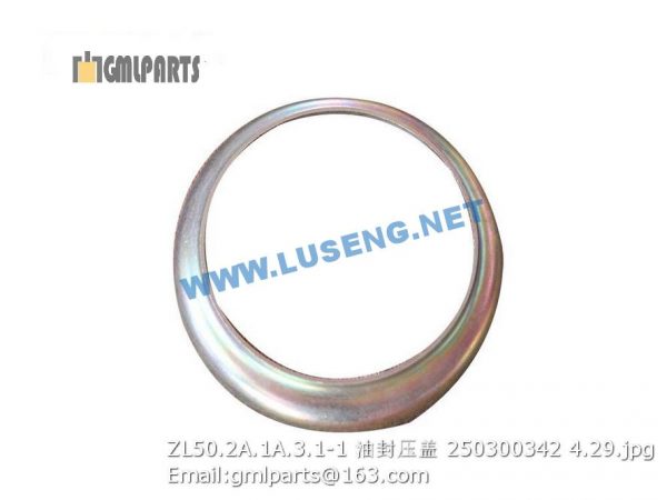 ,250300342 ZL50.2A.1A.3.1-1 OIL SEAL COVER