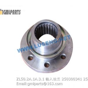 ,250300341 ZL50.2A.1A.3.1 INPUT FLANGE XCMG