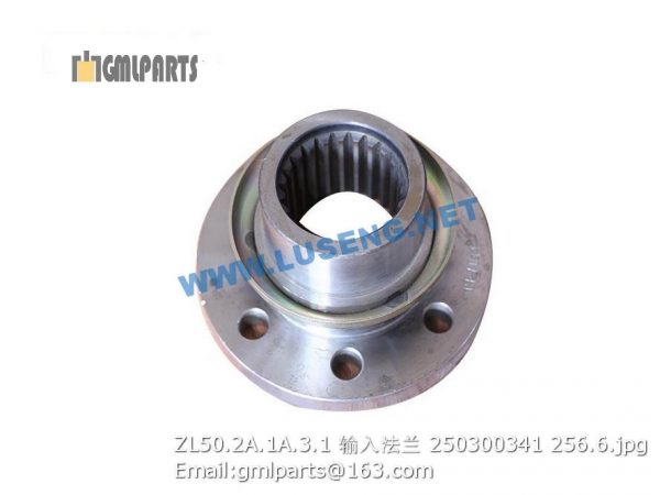 ,250300341 ZL50.2A.1A.3.1 INPUT FLANGE XCMG