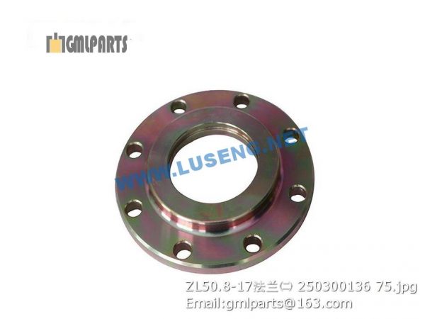 ,250300136 ZL50.8-17 FLANGE XCMG