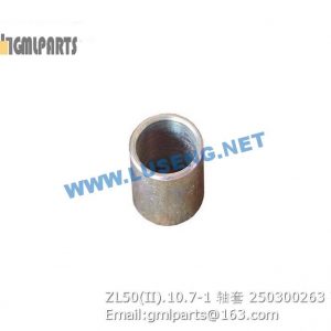 ,250300263 ZL50(II).10.7-1 BUSHING XCMG