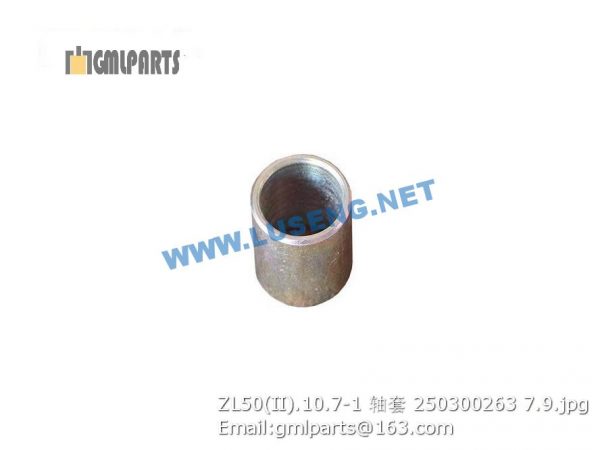 ,250300263 ZL50(II).10.7-1 BUSHING XCMG