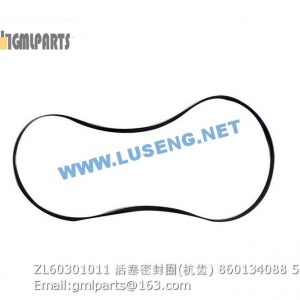 ,860134088 ZL60301011 PISTON RING