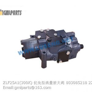 ,803085218 ZLF25A1 300K FLOW ENLARGING VALVE