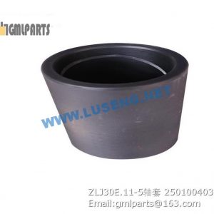 ,250100403 ZLJ30E.11-5 BUSHING XCMG