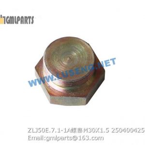 ,250400425 ZLJ50E.7.1-1A PLUG M30X1.5