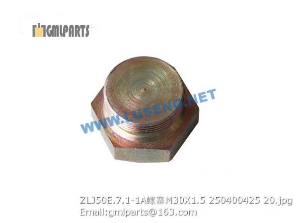 ,250400425 ZLJ50E.7.1-1A PLUG M30X1.5
