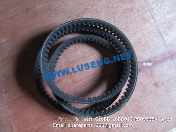 BELT C16BB-16BB010 PS09665 SHANGCHAI C6121 PARTS - Image 2