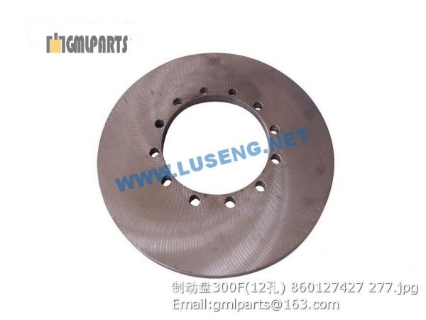 ,BRAKE DISC LW300F 860127427