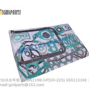 ,GASKET KITS F/D6114B-DP D9-220 860113148