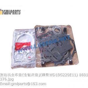 ,OVERHAUL REPAIR KITS WD10G220E11 860118561