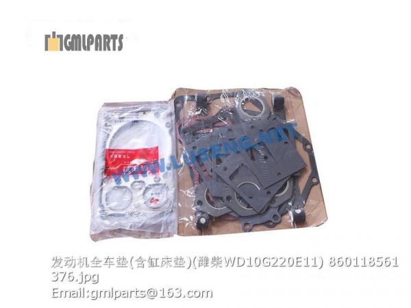 ,OVERHAUL REPAIR KITS WD10G220E11 860118561