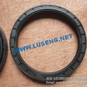 ,OIL SEAL 53100029 860102808 FB115*140*12 SP105579 W44002088 4110001903114