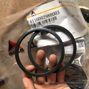 4110002988003 SEALING RING L968F