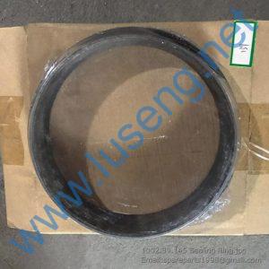 1002.39.145 Sealing Ring 240100001314 YTO