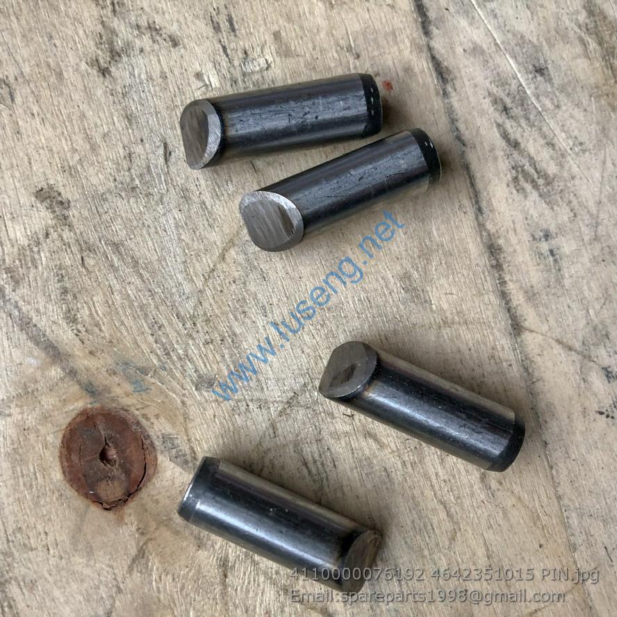 4110000076192 4642351015 PIN