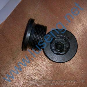 4110000076237 PLUG SCREW 0636305007