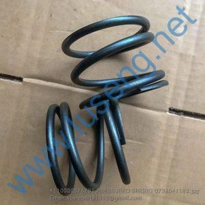 4110000076251 PRESSURED SPRING 0732041183