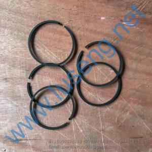4110000076258 SEALING RING 0734401106