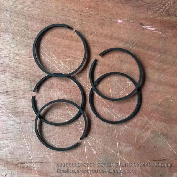 4110000076258 SEALING RING 0734401106