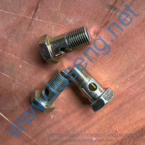 4110000076262 0737835153 HOLLOW BOLT