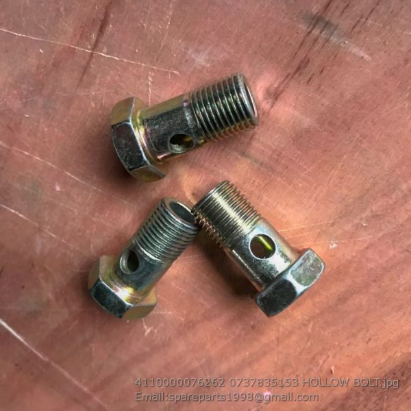 4110000076262 0737835153 HOLLOW BOLT