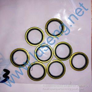 4110000076274 14Q20-03 washer
