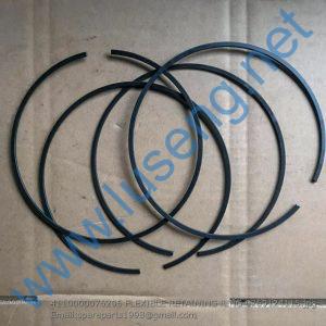 4110000076296 FLEXIBLE RETAINING RING 0769124115