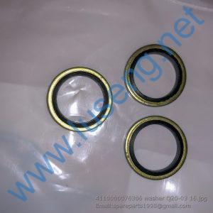 4110000076306 washer Q20-03