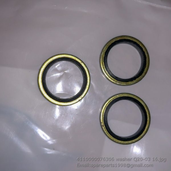 4110000076306 washer Q20-03