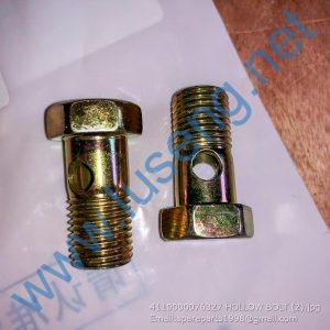 4110000076327 HOLLOW BOLT